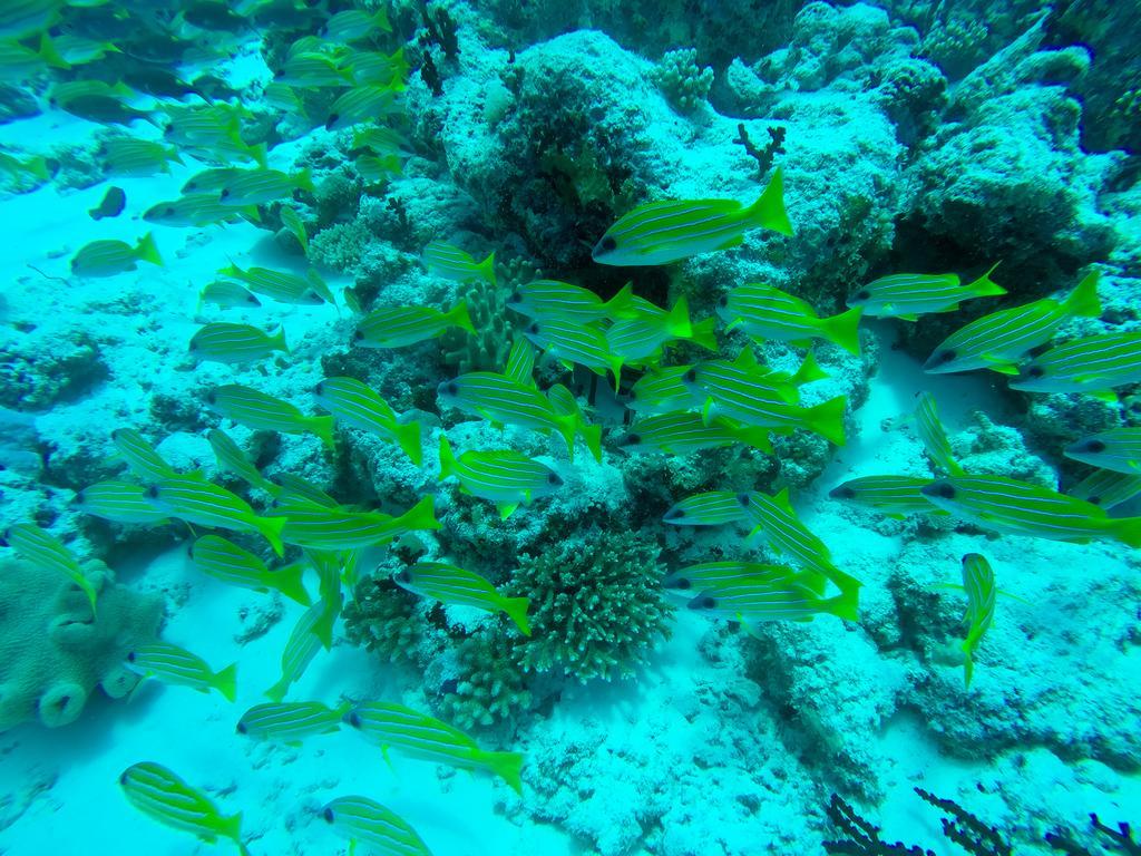 Manta Inn Bodufolhudhoo Exterior photo